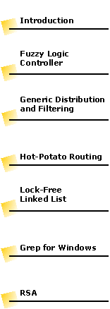 Hot Potato Routing