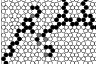 hexagonal cellular array