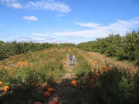 Highlight for Album: 10/10/2004 - Apple Picking at Lull Farm