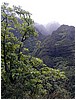 044_trees_and_cliffs.JPG