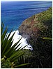 057_cliff_with_water_and_spiny_plant.JPG