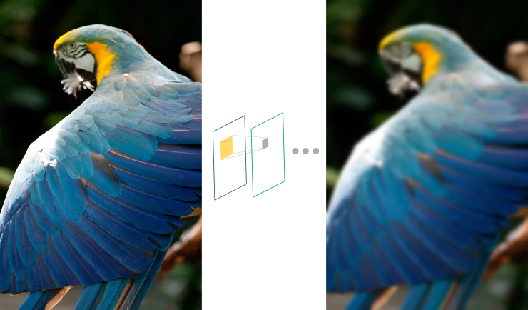 Two images of a parrot one sharp and one blurred on the left and right with rectangular layers representing an image processing pipeline in between