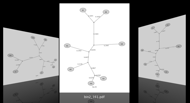 (Above figure) Trees corresponding to the three largest bins resulting from a phybin run. The file <code
>binXX_YYY</code
>, where <code
>XX</code
> is the rank of the bin and <code
>YYY</code
> is the number of trees having that topology.