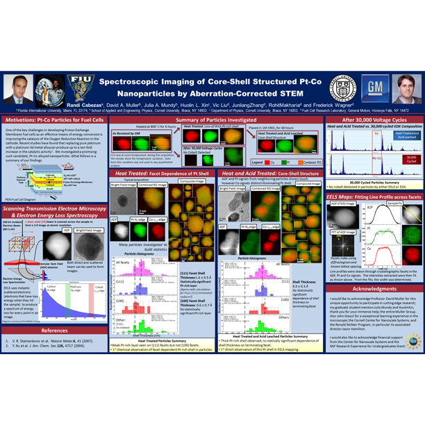 core shell nanoparticles thesis