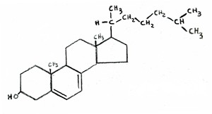 Colesterolo