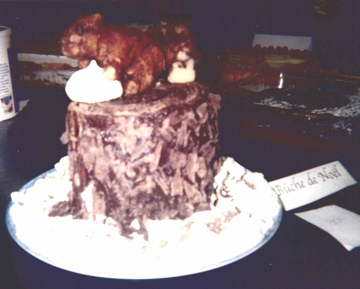 Photo of stump taken at bake-off.