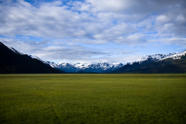 Alaskan grassland seen from the train. June 30, 2008