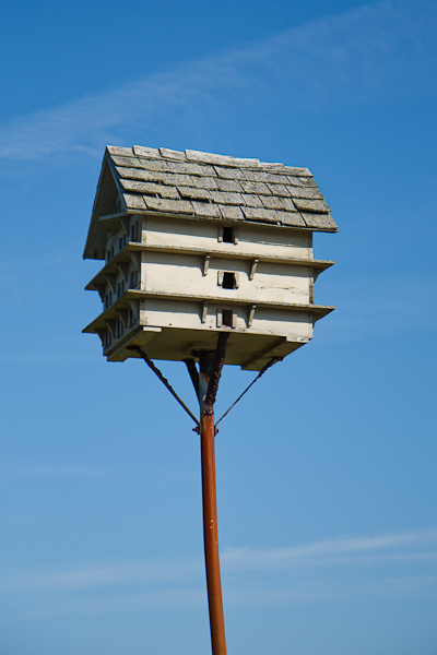A birdhouse in Gloucester August 23, 2008