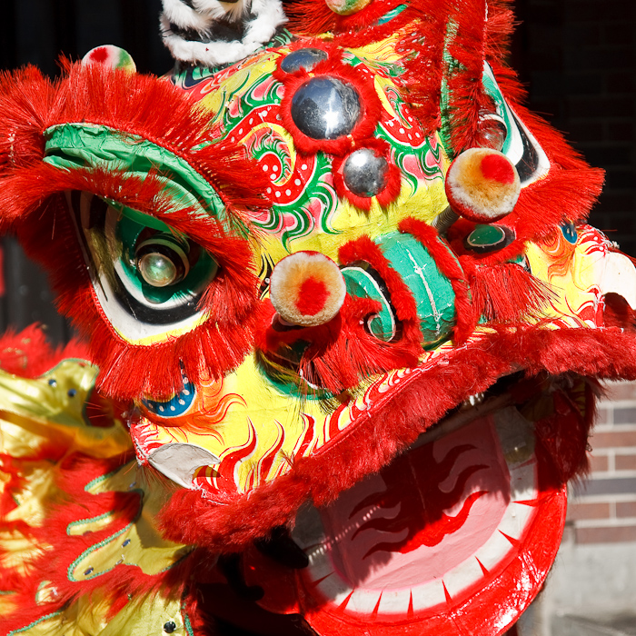 A lion during the Chinese New Year celebration in Boston. February 01, 2009