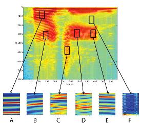 Spectrogram Patches