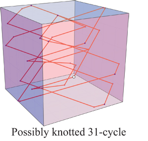 Knotted 31-cycle