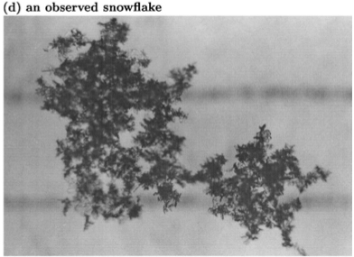 Snowflake Observed