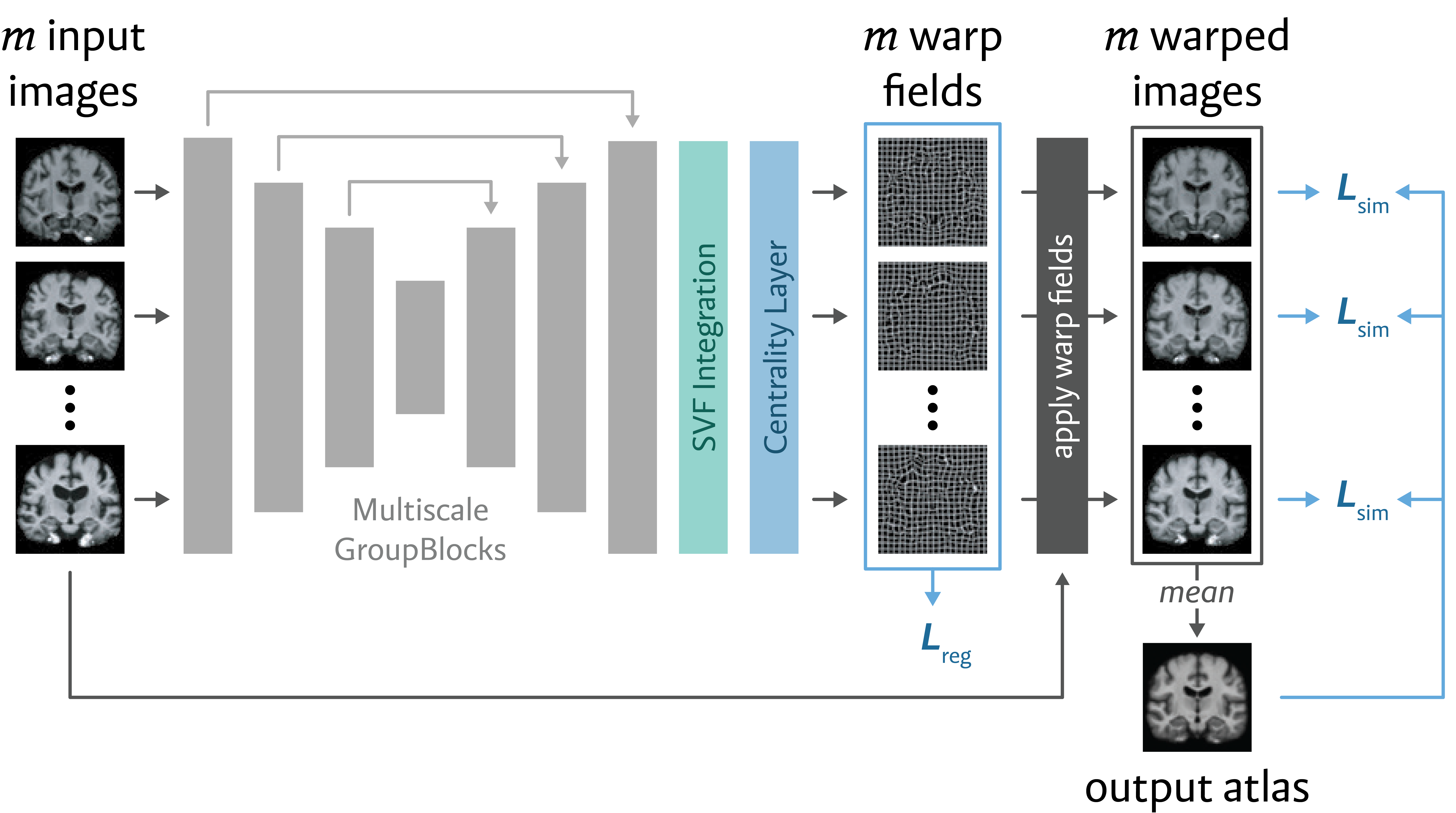 Network Architecture