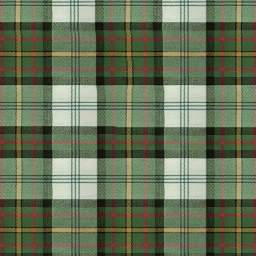 Plaid_t_P36N8.jpg