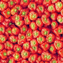 red-peppers256_P36N10.jpg
