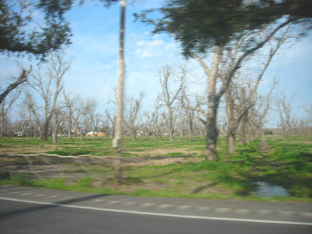DSCN1155