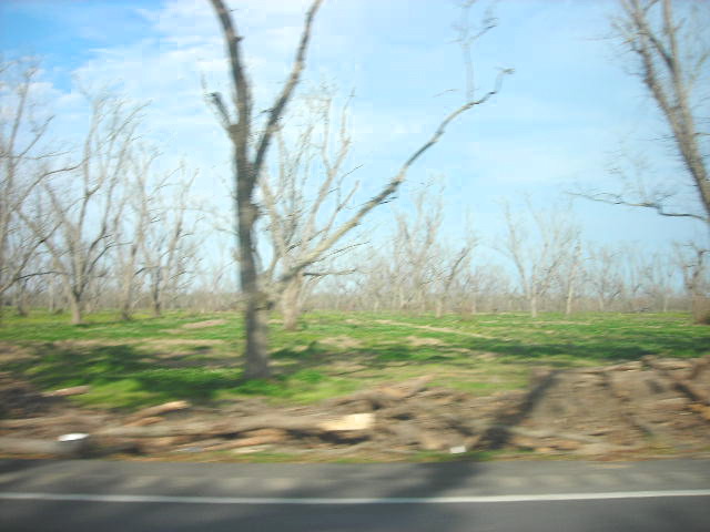 DSCN1156
