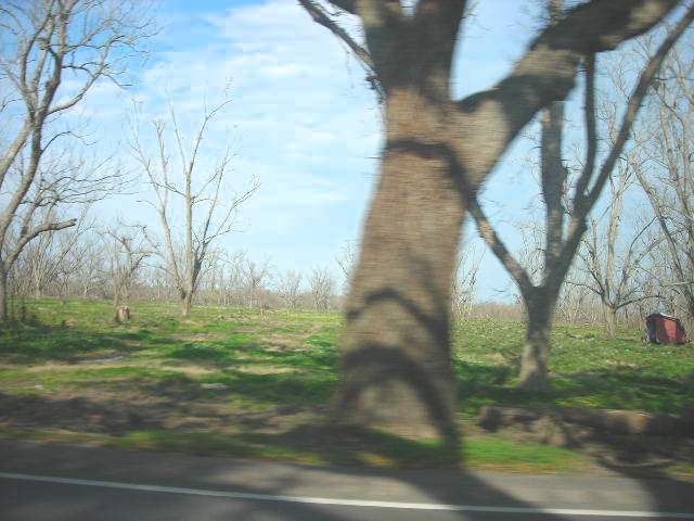 DSCN1157