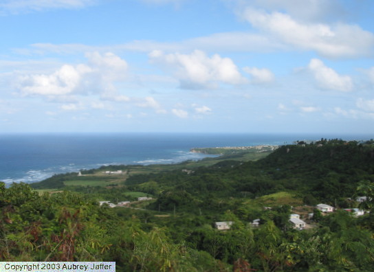 view of shore from bluff