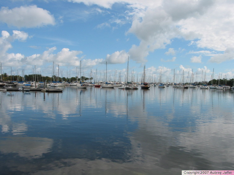 boats moored in harbor