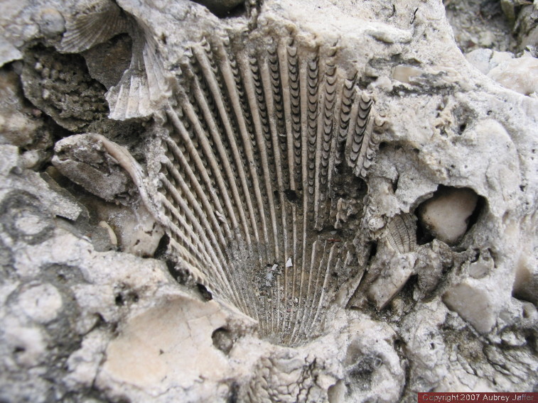 Radiating fan of grooves in rock