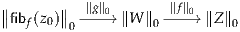∥      ∥
∥fibf(z0)∥  -∥g∥0-//∥W ∥0-∥f∥0 // ∥Z∥0
         0
