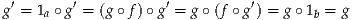  ′       ′           ′         ′
g =  1a∘g = (g ∘f)∘ g = g∘ (f ∘g ) = g ∘1b = g
