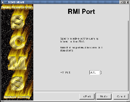 \includegraphics [scale=0.4]{images/scms_rmi}