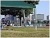 04-memorial_drive_1.jpg