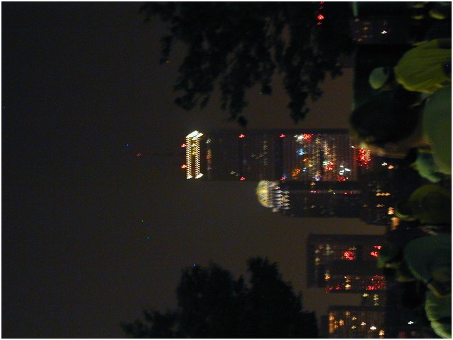 P1010054.JPG