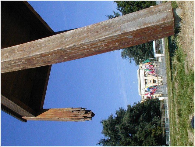 P1010259.JPG