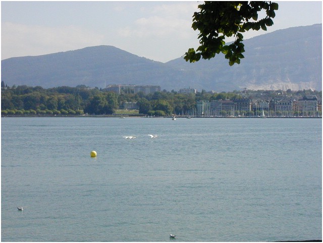 P1010270.JPG