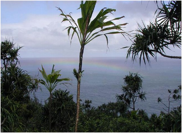 046_prostrate_rainbow.JPG