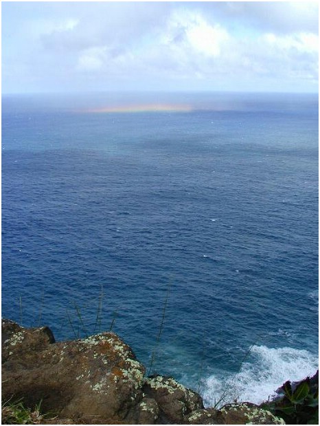 051_very_prostrate_rainbow.JPG