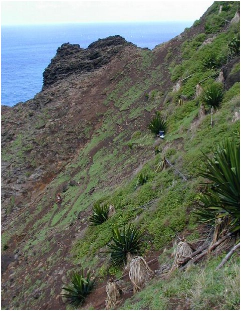 066_winding_trail.JPG