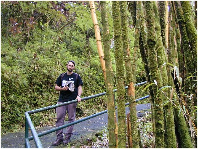263_greg_on_trail_to_akaka_falls_2.JPG