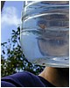 052_theres_a_shrimp_in_our_water.JPG