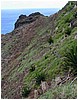 066_winding_trail.JPG