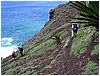 067_winding_trail_2.JPG