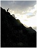 096_backlit_feral_goats.JPG
