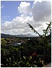 123_view_from_south_shore_vista.JPG
