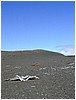 203_devastation_trail_2.JPG