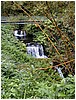 268_mini_waterfalls_by_akaka_falls.JPG