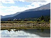 012-horse_riding-1.JPG
