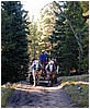 014-hayride-2.JPG