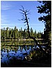 048-nymph_lake.JPG