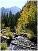 067-stream-2.JPG