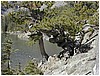 070-dream_lake-2.JPG