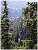 079-trees_and_distant_lake.JPG