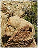 093-squirrel.JPG